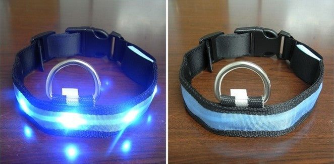 LED Halsband