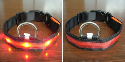 LED Halsband