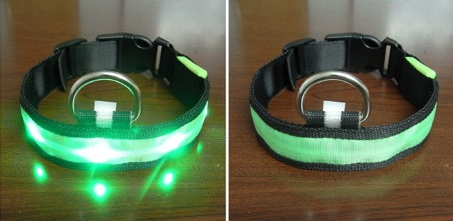 LED Halsband