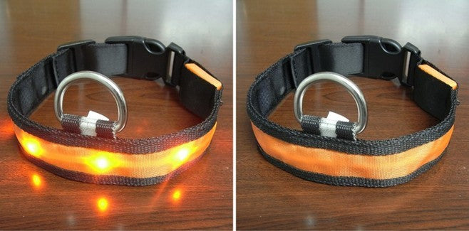 LED Halsband