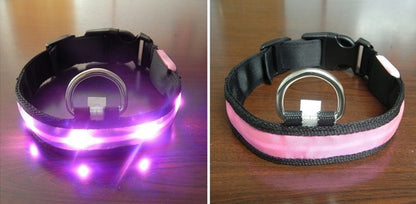 LED Halsband