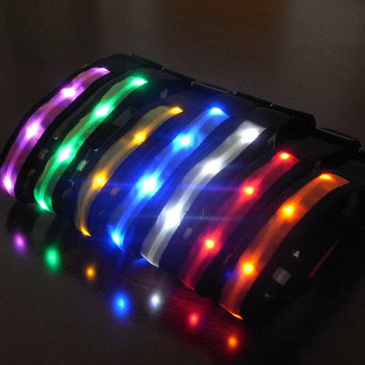 LED Halsband