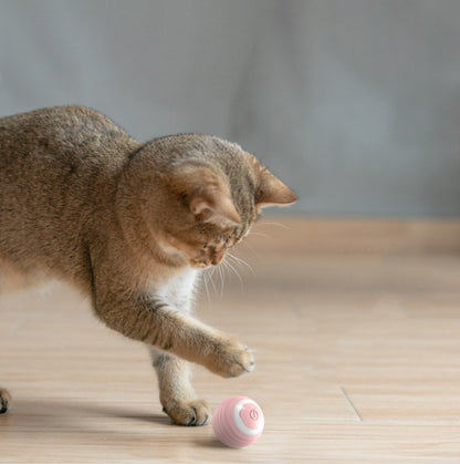 Interaktiver Katzen Spielball