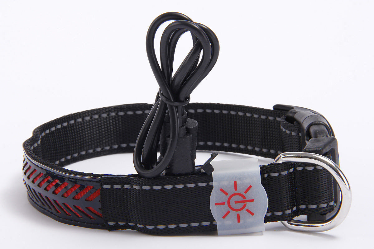 LED graviertes Halsband