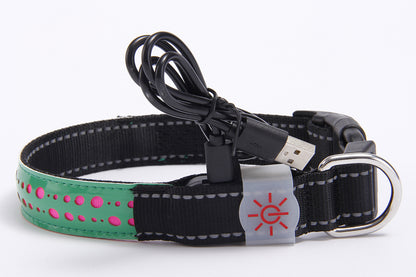 LED graviertes Halsband