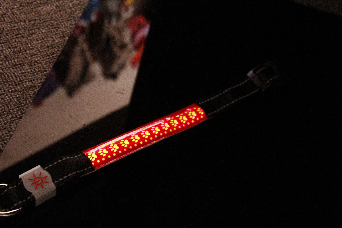 LED graviertes Halsband