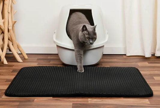 Katzenstreumatte